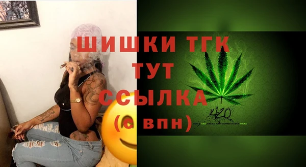 спайс Инсар