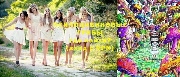трава Инта