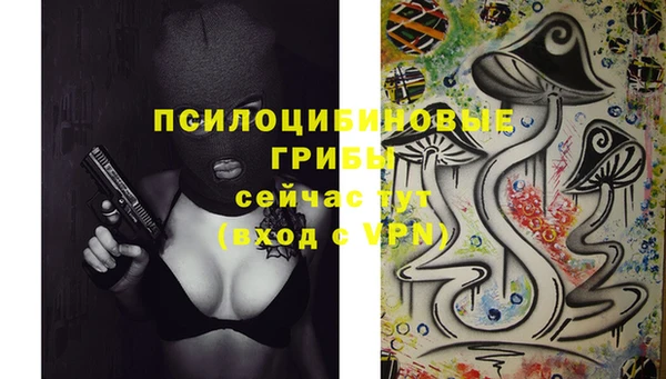 герыч Зеленокумск