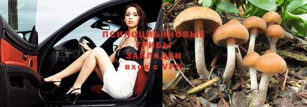 прущая мука Зеленодольск