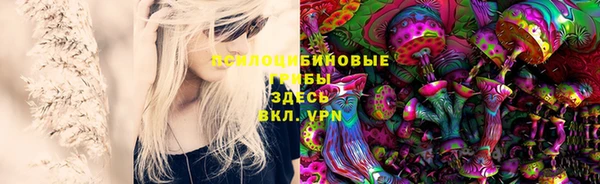 спайс Инсар