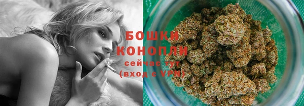 спайс Инсар