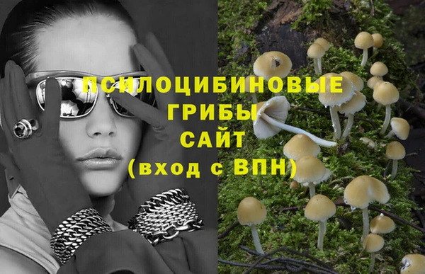 герыч Зеленокумск