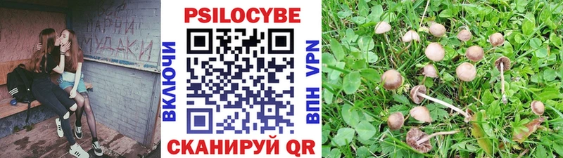 Купить закладки Будённовск Галлюциногенные грибы ЛСД