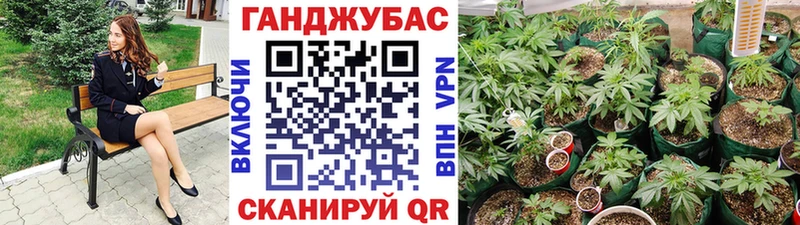Купить  Будённовск  МАРИХУАНА VHQ 